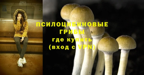 кокс Алзамай