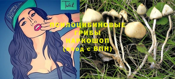 амф Абаза