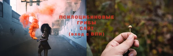 кокс Алзамай