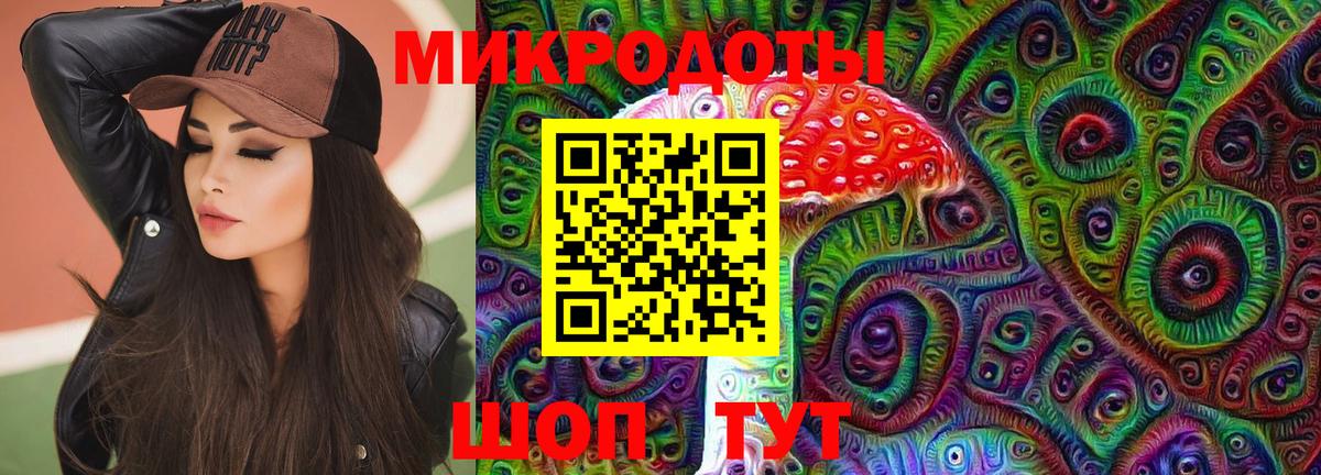 Псилоцибиновые грибы Psilocybine cubensis  Вход с VPN  Луга 
